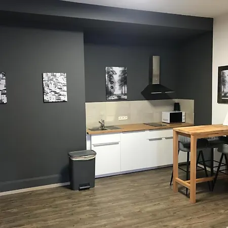 Maxim Apartments Mainz-2